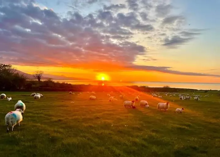 Lighthouse View 特拉利